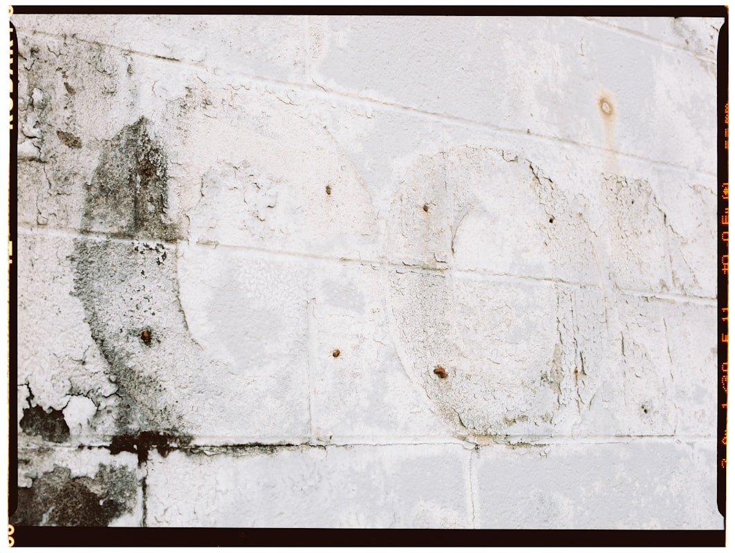 Water Extraction service in Binghamton, NY